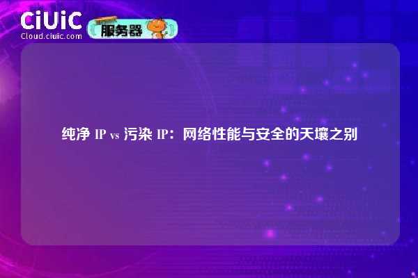 纯净 IP vs 污染 IP：网络性能与安全的天壤之别