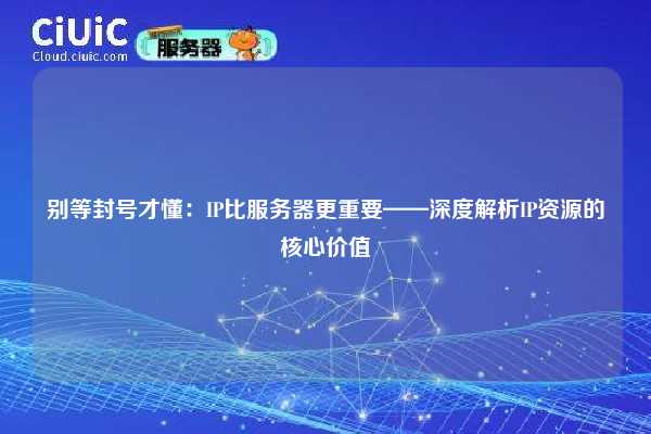 别等封号才懂：IP比服务器更重要——深度解析IP资源的核心价值