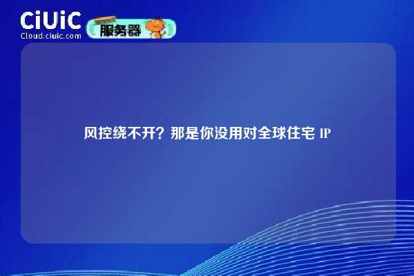 风控绕不开？那是你没用对全球住宅 IP