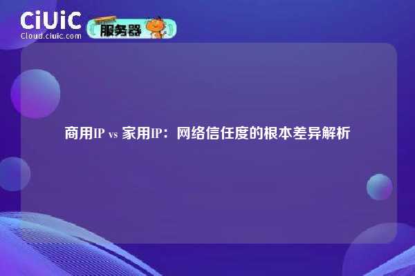 商用IP vs 家用IP：网络信任度的根本差异解析