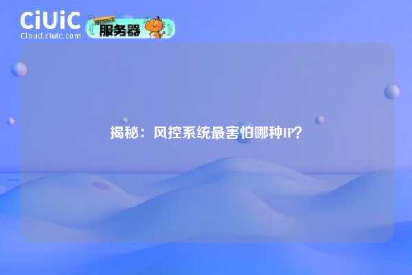 揭秘：风控系统最害怕哪种IP？