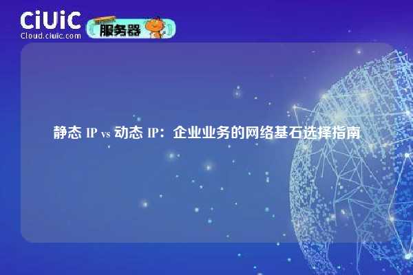 静态 IP vs 动态 IP：企业业务的网络基石选择指南