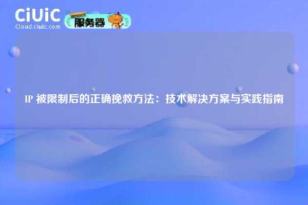 IP 被限制后的正确挽救方法：技术解决方案与实践指南