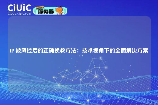 IP 被风控后的正确挽救方法：技术视角下的全面解决方案