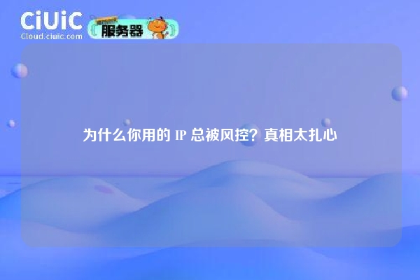 为什么你用的 IP 总被风控？真相太扎心