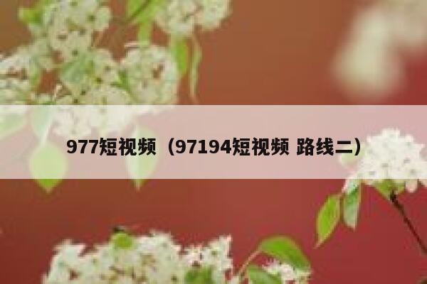 977短视频（97194短视频 路线二）