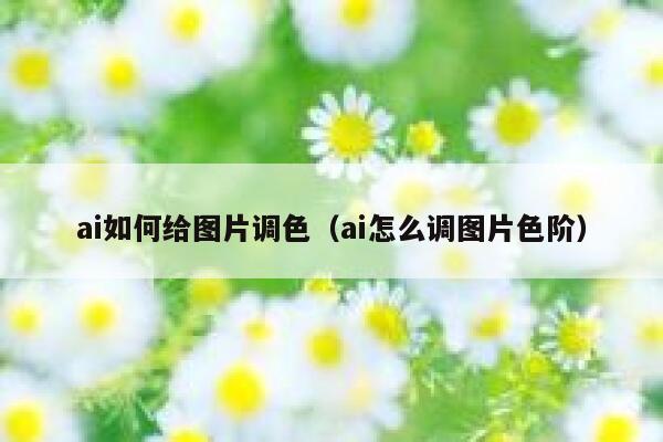 ai如何给图片调色（ai怎么调图片色阶）