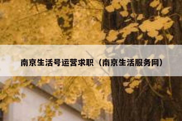 南京生活号运营求职（南京生活服务网）