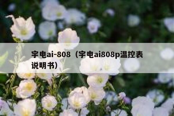 宇电ai-808（宇电ai808p温控表说明书）