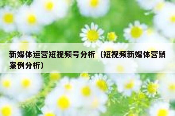 新媒体运营短视频号分析（短视频新媒体营销案例分析）