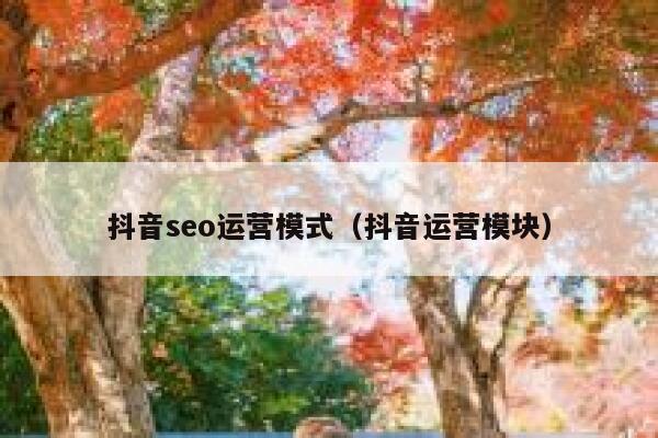 抖音seo运营模式（抖音运营模块）