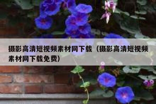 摄影高清短视频素材网下载（摄影高清短视频素材网下载免费）