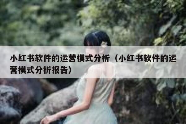 小红书软件的运营模式分析（小红书软件的运营模式分析报告）