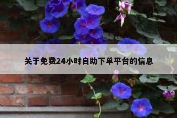 关于免费24小时自助下单平台的信息