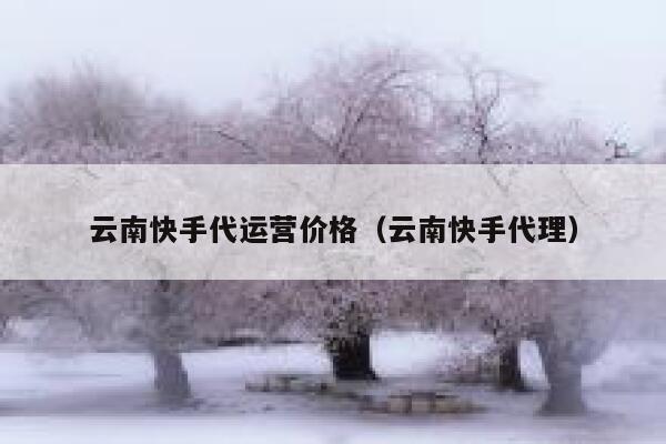 云南快手代运营价格（云南快手代理）