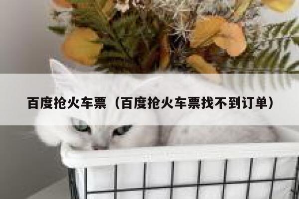 百度抢火车票（百度抢火车票找不到订单）