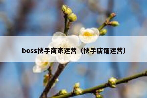 boss快手商家运营（快手店铺运营）