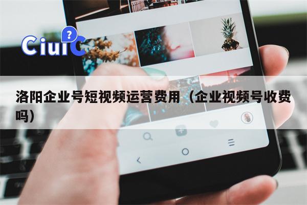 洛阳企业号短视频运营费用（企业视频号收费吗）