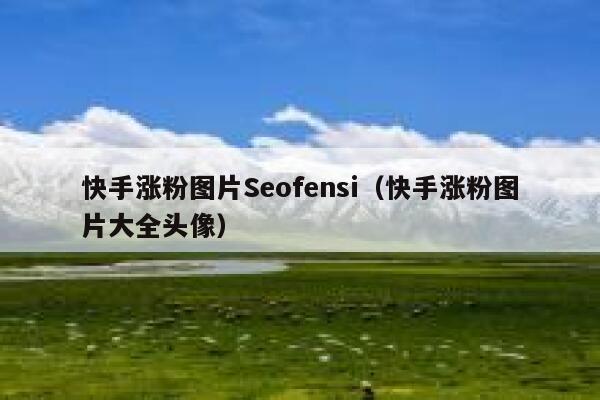 快手涨粉图片Seofensi（快手涨粉图片大全头像）