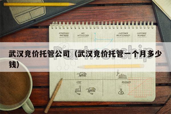 武汉竞价托管公司（武汉竞价托管一个月多少钱）