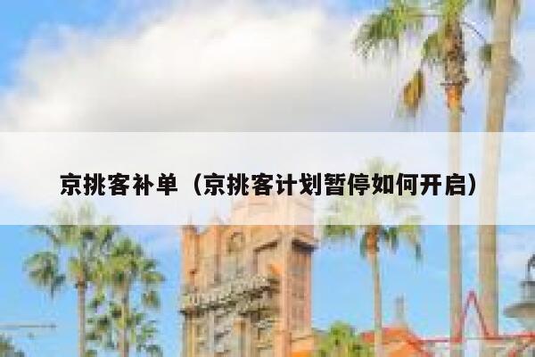 京挑客补单（京挑客计划暂停如何开启）