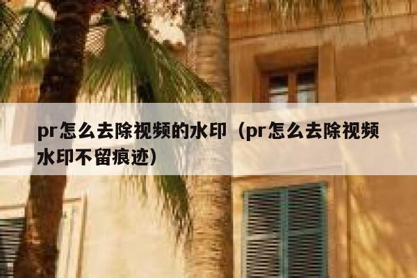 pr怎么去除视频的水印（pr怎么去除视频水印不留痕迹）