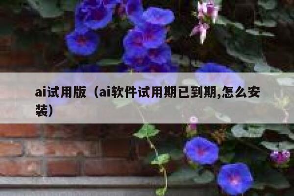 ai试用版（ai软件试用期已到期,怎么安装）