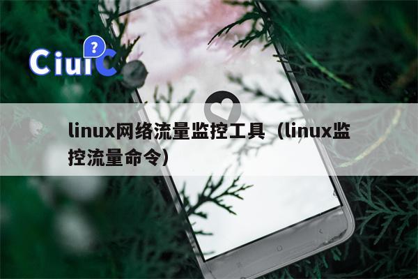 linux网络流量监控工具（linux监控流量命令）