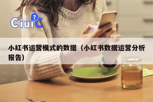 小红书运营模式的数据（小红书数据运营分析报告）