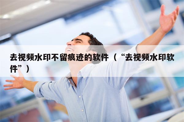 去视频水印不留痕迹的软件（“去视频水印软件”）