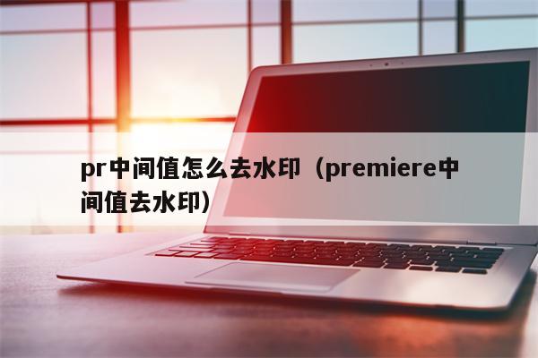 pr中间值怎么去水印（premiere中间值去水印）