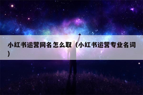 小红书运营网名怎么取（小红书运营专业名词）