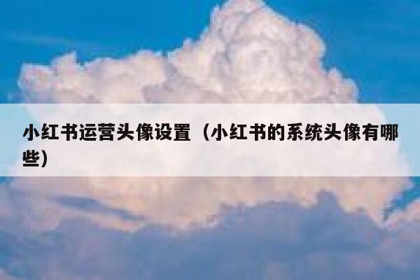 小红书运营头像设置（小红书的系统头像有哪些）