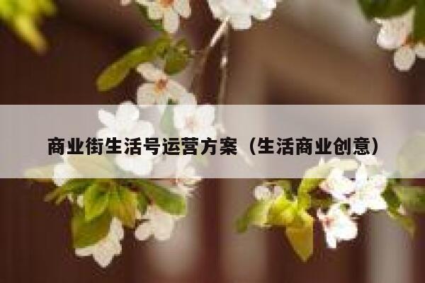 商业街生活号运营方案（生活商业创意）