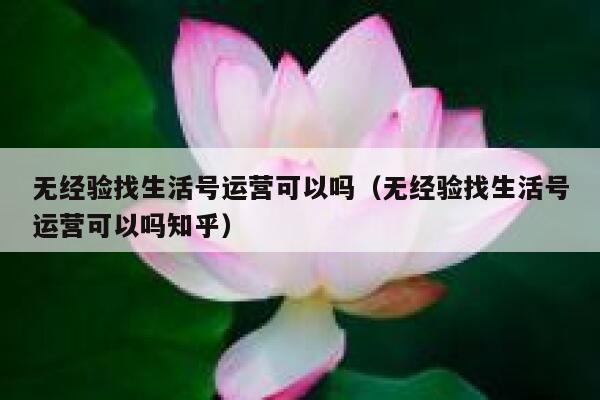 无经验找生活号运营可以吗（无经验找生活号运营可以吗知乎）