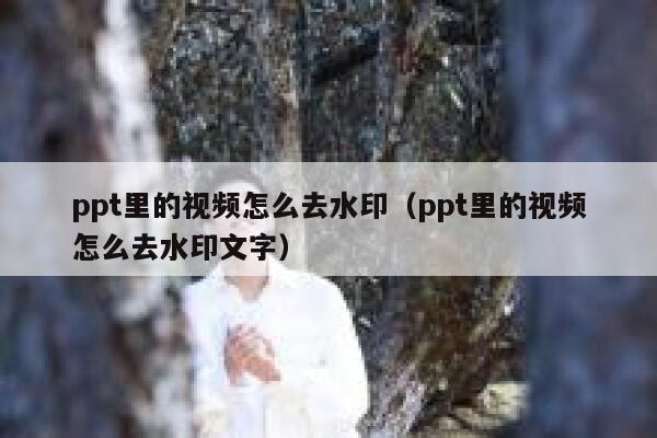 ppt里的视频怎么去水印（ppt里的视频怎么去水印文字）