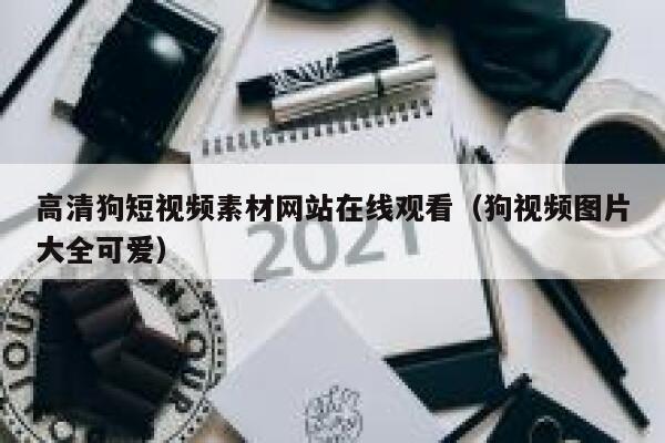 高清狗短视频素材网站在线观看（狗视频图片大全可爱）