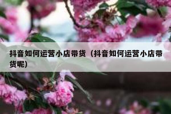 抖音如何运营小店带货（抖音如何运营小店带货呢）