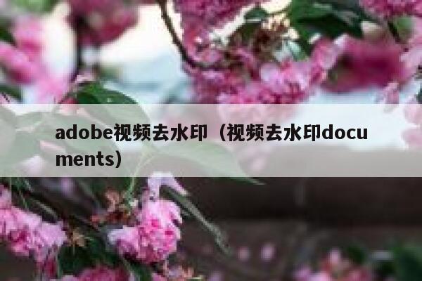 adobe视频去水印（视频去水印documents）