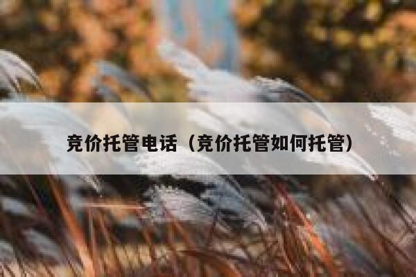 竞价托管电话（竞价托管如何托管）