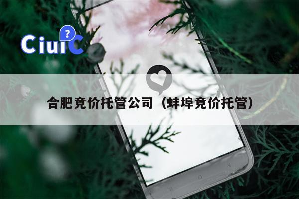 合肥竞价托管公司（蚌埠竞价托管）