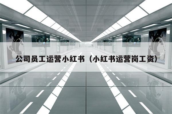 公司员工运营小红书（小红书运营岗工资）