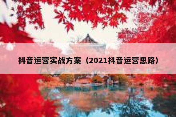 抖音运营实战方案（2021抖音运营思路）