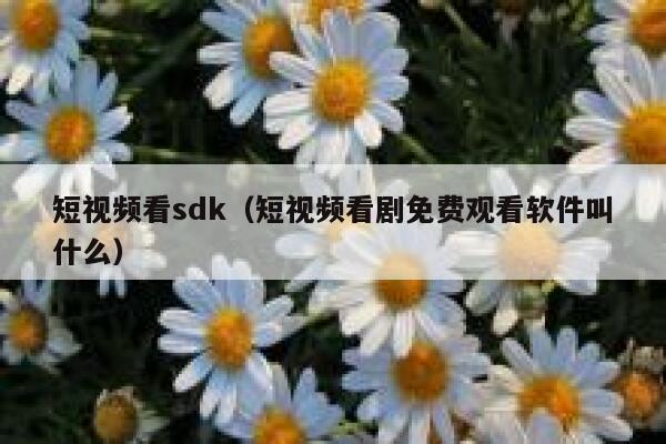 短视频看sdk（短视频看剧免费观看软件叫什么）