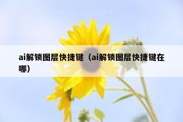 ai解锁图层快捷键（ai解锁图层快捷键在哪）