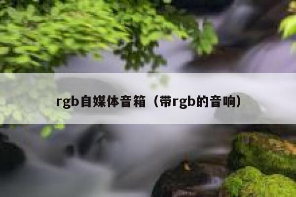 rgb自媒体音箱（带rgb的音响）