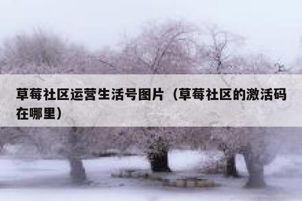 草莓社区运营生活号图片（草莓社区的激活码在哪里）