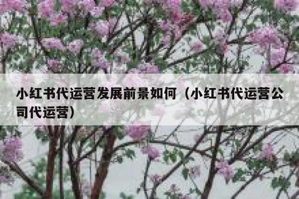 小红书代运营发展前景如何（小红书代运营公司代运营）