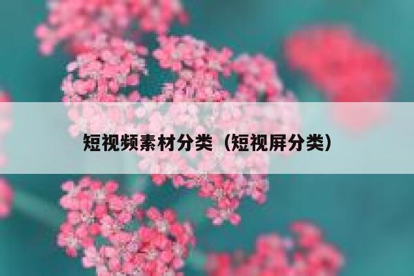 短视频素材分类（短视屏分类）