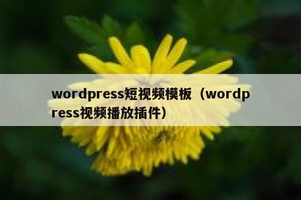 wordpress短视频模板（wordpress视频播放插件）